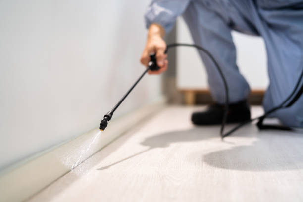Licensed Mosquito Control service in New California, OH - Show Me Pest Control