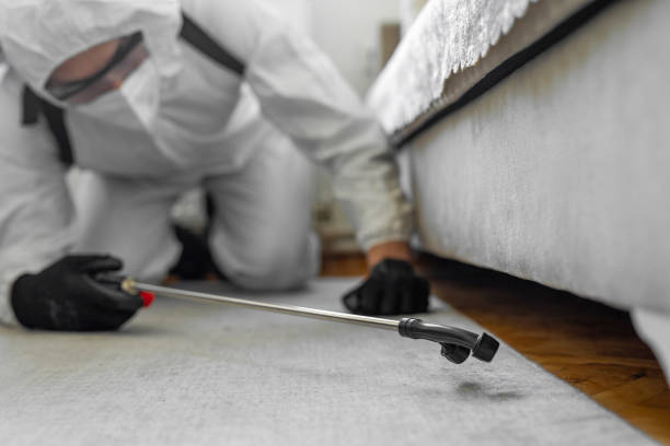 Professional Ant Control technician working in New California, OH