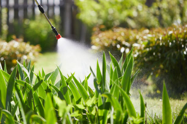 24/7 Emergency Mosquito Control experts in New California, OH