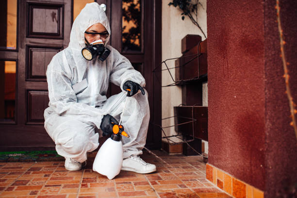 Reliable Mosquito Control contractor in New California, OH by Show Me Pest Control