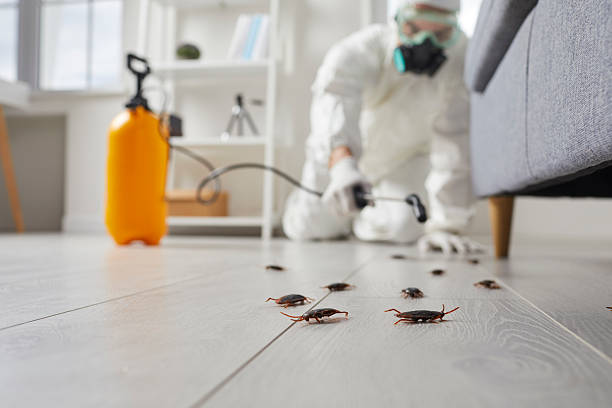 Affordable Mosquito Control solutions in New California, OH