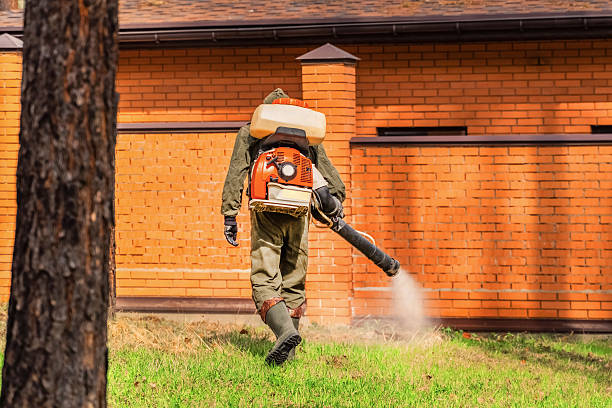 Top rated local Mosquito Control specialists in New California, OH